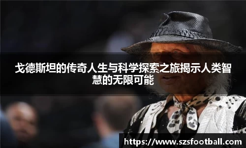 lewin乐玩新版本