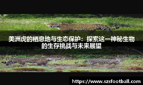 lewin乐玩手机下载