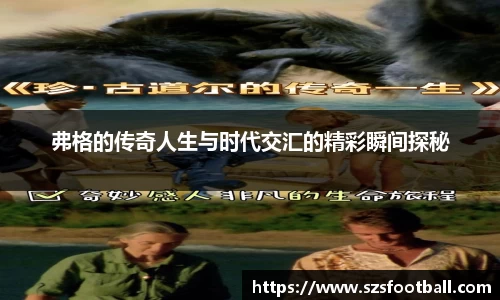 lewin乐玩手机下载